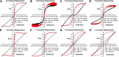 Rock Magnetism of Late Cretaceous to Middle Eocene Strata in the Lesser Himalaya, Western Nepal: Inferences Regarding the Paleoenvironment